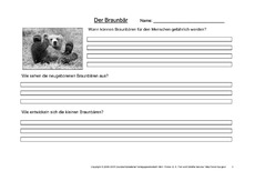 Braunbär-Fragen-3.pdf